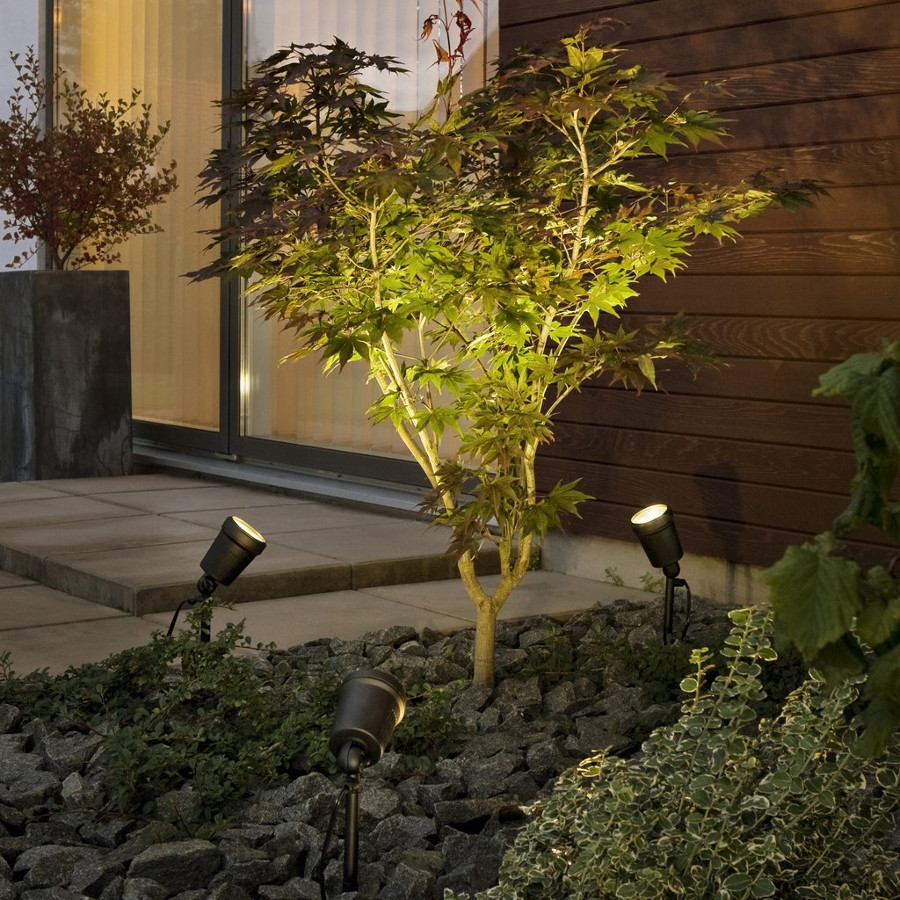 plant verlicht met behulp van drie spots in een donkere tuin