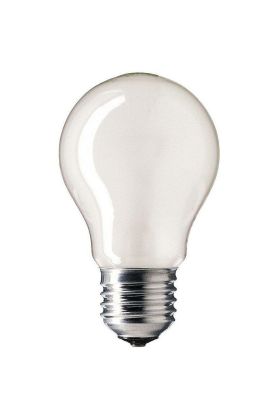 A60 E27 gloeilamp peer 100w mat